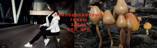 дурь Белокуриха