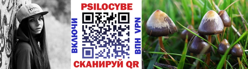 наркошоп  ОМГ ОМГ сайт  Псилоцибиновые грибы мухоморы  Торопец 